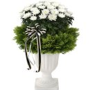 모후품안 이미지