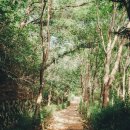 서울숲길 이미지