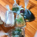 관상어프라자