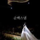 순백스냅 | 본식스냅(1) | 순백스냅 | 가격, 계약 후기 | 짝꿍코드, 소개할인(공유O)