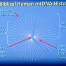 미토콘드리아 역사는 성경적 연대기를 입증했습니다 이미지