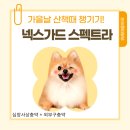 위례마음약국 이미지