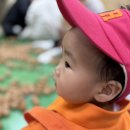 오늘제빵소 | 천안 아기 문센 추천 이마트 천안서북점 문화센터 애기똥풀 후기