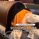 중앙석고(주) | [세종피부샵] 얼굴 데콜테 수기관리 대만족한 당신의위대한피부 세종점 후기