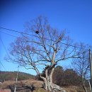 구송산 Daum카페