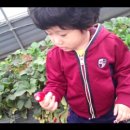 무내미농장 이미지