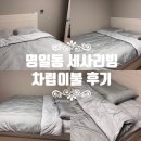 무드그린 - 관악구 | 명일동 세사리빙차렵이불 신상 '무드' 세이지그린, 신혼집 리얼 후기