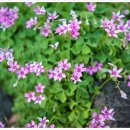 김녕초등학교 동복분교 이미지