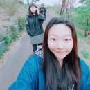 도깨비식당 이미지