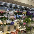 스노우폭스플라워강남 이미지