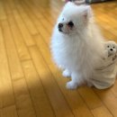 반자주 일광신도시점 이미지