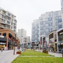 위례중앙중학교 이미지