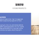 세이브일렉트릭
