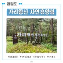 강원도 정선 가리왕산 자연휴양림 오토캠핑장, 등산(이끼계곡), 계곡 후기