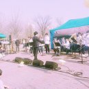 금관약품 이미지