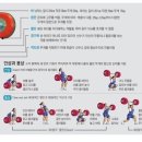 스프린트PT 이미지