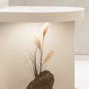 필밸런스의원 | 고운채로의원 피부속 노폐물 청소하는 아쿠아필 후기