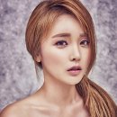 웰릭스컴퍼니 이미지