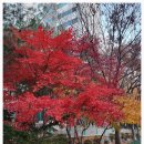 가희공인중개사사무소 이미지