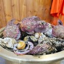 12월30일 홍성스카이 타워 노을전망대 천북굴단지 12시 이미지