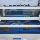 오거리 수족관 앞 이미지