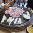 돼지꿈꾸던날 이미지