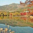 여명로25번길 이미지