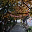 이른아침민박 이미지