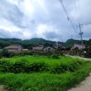 파인피노펜션 이미지