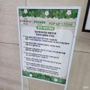 멍멍이PC | 더현대 피크민 팝업 모든 정보: 굿즈 가격과 솔직한 후기