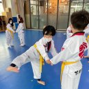 금호태권도장 이미지