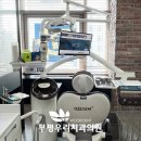 부평문화로 티스토리