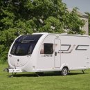 블루버드 이미지