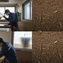 과학식당 이미지