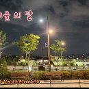 서울의 달 김건모 한명수 커버연주 이미지