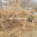 코너원부동산공인중개사사무소 이미지