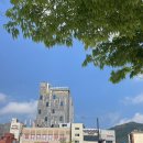 서여고 02024 네이버블로그
