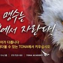 토나아카데미