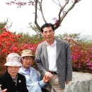 태백초등학교 이미지