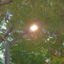 꽃사슴어린이공원 이미지