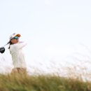 챔피온골프장 이미지