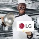 [LG전자] MS본부 샛별자문단 5기 🩷서류&amp;면접 합격 후기🩷
