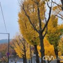 남산길 이미지