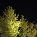 대의부동산공인중개사사무소 이미지