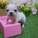 모두와샵 이미지