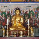 순천-73호 이미지