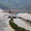 안양대학교