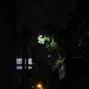 경대교 주변 이미지