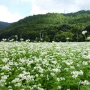 문곡소도동주민센터 이미지