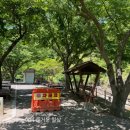 벽계야영장 매점 이미지